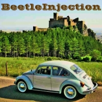 (c) Beetleinjection.wordpress.com